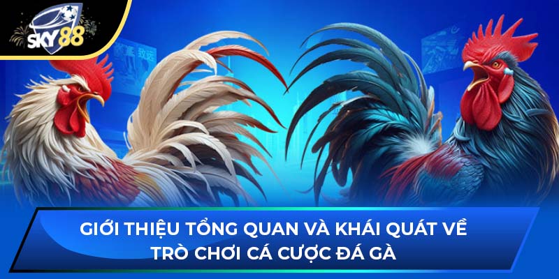 Giới thiệu tổng quan và khái quát về trò chơi cá cược đá gà