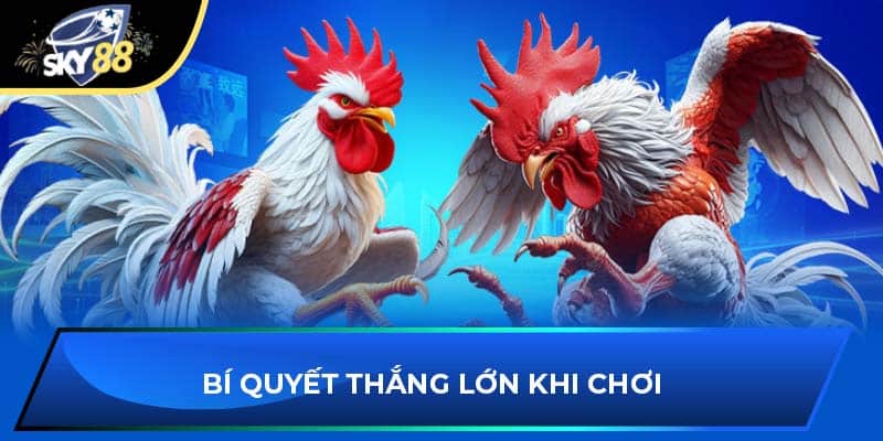 Bí quyết thắng lớn khi chơi