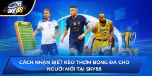 Cách Nhận Biết Kèo Thơm Bóng Đá Cho Người Mới Tại Sky88