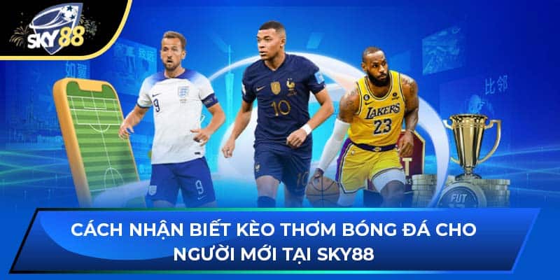 Cách Nhận Biết Kèo Thơm Bóng Đá Cho Người Mới Tại Sky88