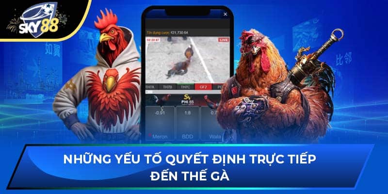 Những yếu tố quyết định trực tiếp đến thế gà