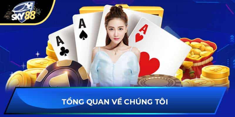 Tổng quan về chúng tôi